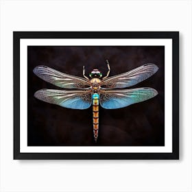 Dragonfly Blue Eyed Darner Aeshna Illustration Minimal 4 Art Print