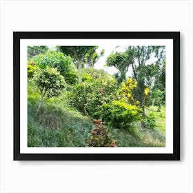 Garden 7 By Binod Dawadi Art Print