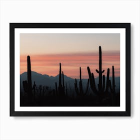 Cactus Sunset Silhouette Art Print