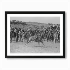 Untitled Photo, Possibly Related To Cowboys Driving Cows Down Rodeo Grounds, Bean Day, Wagon Mound 1 Art Print
