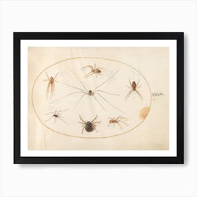 Eight Spiders, Joris Hoefnagel Art Print