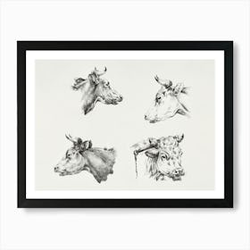 Four Bull Heads (1809 1833), Jean Bernard Art Print