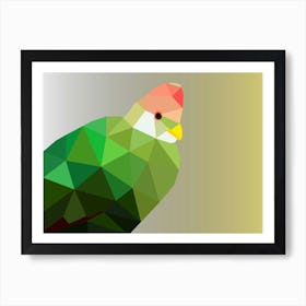 Red Crested Turaco Art Art Print