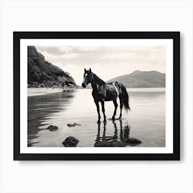 A Horse Oil Painting In Lopes Mendes Beach, Brazil, Landscape 3 Art Print