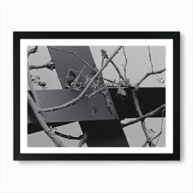 Cross In A Tree Art Print