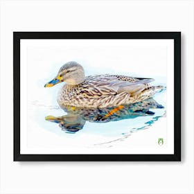 Mallard Duck 20220101 134rt1ppub Art Print