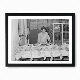 Inspecting Picked Turkeys At Cooperative Poultry House, Brownwood, Texas By Russell Lee Art Print