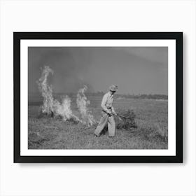Burning A Field Of Clover That Was Too Poor To Harvest For Seed Near Littlefork, Minnesota By Russell Lee Art Print