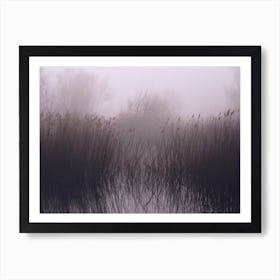 In To The Mist Art Print