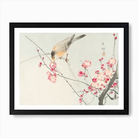 Songbird On Blossom Branch, Ohara Koson Art Print