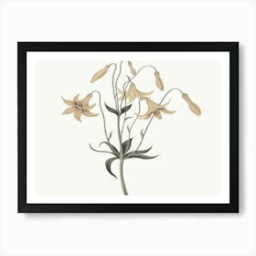 Lily Of The Valley 12 Art Print