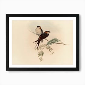 Two Swallows Perched On A Branch 3 Art Print