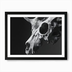 Skull Of A Deer Art Print