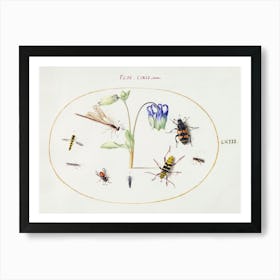 A Dragonfly, A Spotted Longhorn, A Sexton Beetle, And Other Insects With A Blue And White Columbine (1575–1580), Joris Hoefnagel Art Print