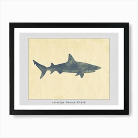 Isistius Genus Shark Silhouette 5 Poster Art Print