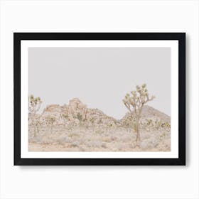 Desert Mountain View Art Print