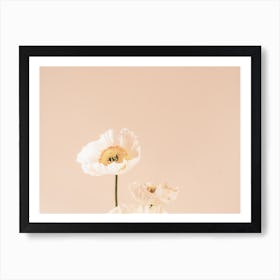 White And Yellow Flower Art Print