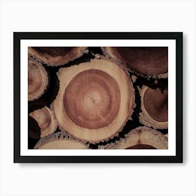 Log Cross Section Art Print