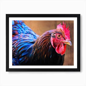 Australorp Chicken Art Print