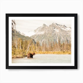 Grizzly Bear Fishing Art Print