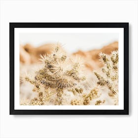 Desert Cholla Cactus Art Print