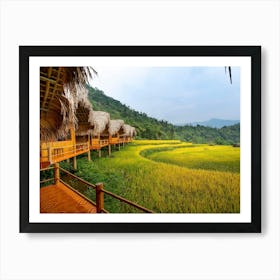 Rice Terraces In Vietnam Art Print