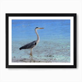 Heron On The Beach Bright Blue Ocean Sea Art Print