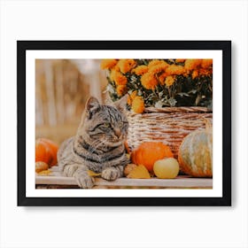 Fall Barn Cat Art Print