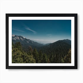 Sequoia National Park Art Print