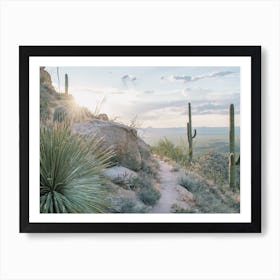 Desert Hiking Trail Art Print