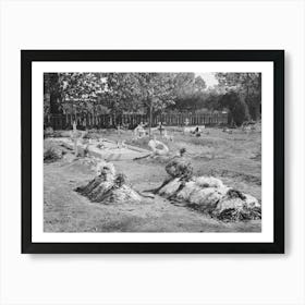 Decorated Graves In Cemetery On All Saints Day At New Roads, Louisiana By Russell Lee Art Print