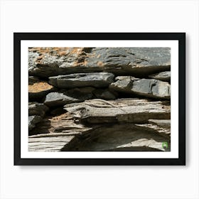 Lizard On Stone Wall 20210824 66ppub Art Print