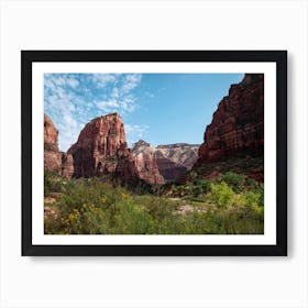 Navajo Sandstone Zion Art Print