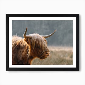 Highland Cow in the field | colorful travel photography 2 Art Print