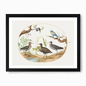 Blue Tit With Three Wading Birds And A Fig Tree (1575 1580), Joris Hoefnagel Art Print