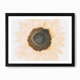 Warm Summer Sunflower Art Print
