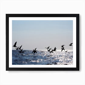 Seagulls Flying Over The Sea Photo Birds Sky landscape sky water bedroom living room lanture Art Print