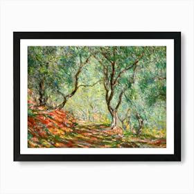 Claude Monet, Olive Tree Wood in the Moreno Garden, 1884 HD Original Reproduction - Immaculate Vibrant Art Print