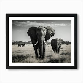 Elephants In The Savannah Art Print