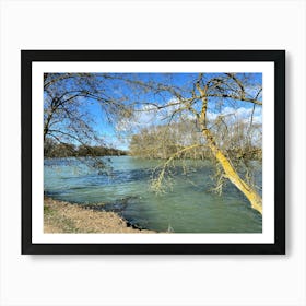 scenic view of the lake Art Print