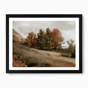 Autumnmeadow Art Print