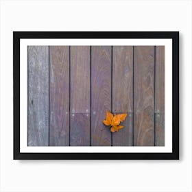 Orange Leaf On Wooden Deck 1 Art Print