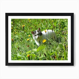 Cat In The Meadow Art Print