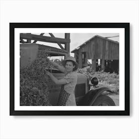 Wife Of Pea Farmer At Vinery Near Sun Prairie, Wisconsin By Russell Lee Art Print