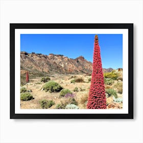 Red Cactus In The Canary Islands (Canary Island Series) Art Print