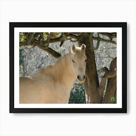 White Horse In A Tree 20220101 76ppub Art Print