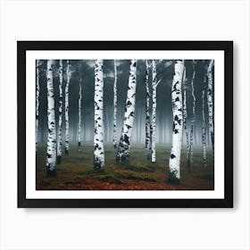 Birch Forest 75 Art Print