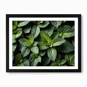 Close Up Of Mint Leaves 3 Art Print