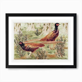 Ordinary Pheasants From The Animal In The Decoration (1897), Maurice Pillard Verneuil Art Print