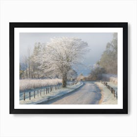 A Frosty Morning Art Print